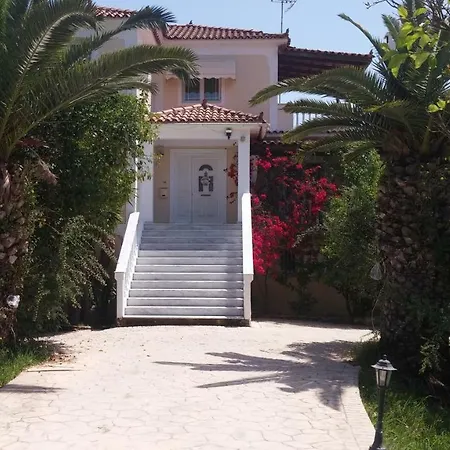 Daire Aloisio's Estate