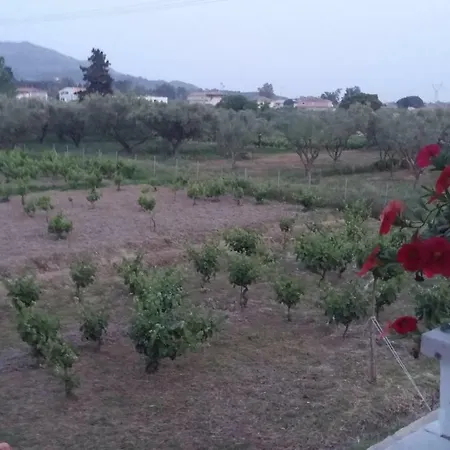 Appartamento Aloisio's Estate